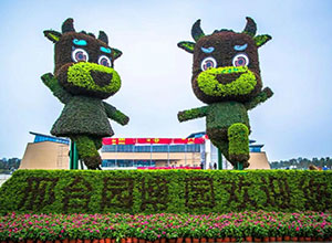 大型網(wǎng)紅戶外游樂(lè)設(shè)備廠家哪家好？