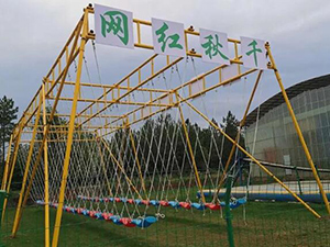 景區(qū)網(wǎng)紅兒童游樂設(shè)備秋千YYDS